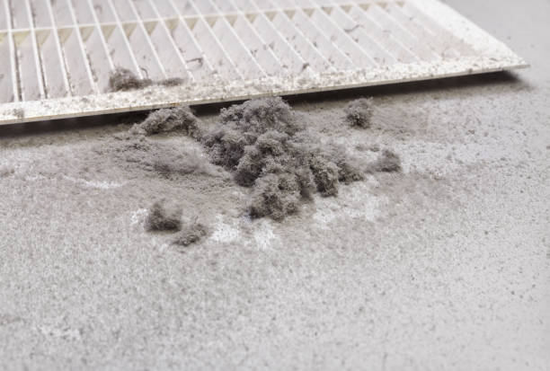 Best Commercial Air Duct Cleaning  in Little River Academy, TX